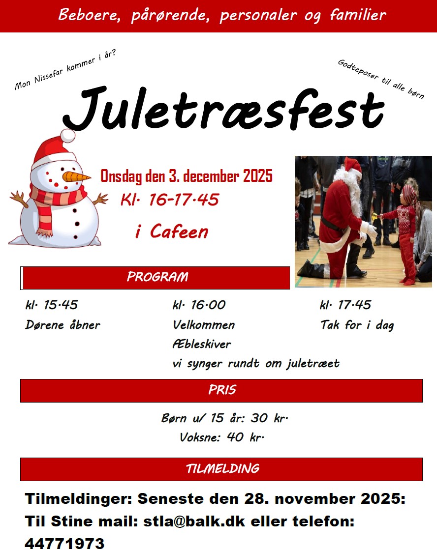 juletraesfest_031225.jpg